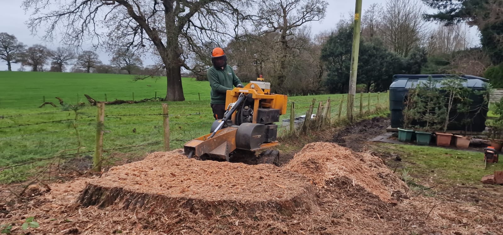 Tree stump removal and grinding service in London